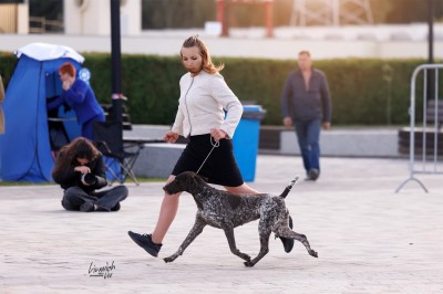 ОХОТЭСТЕТ АЛЕИТ (ALEIT)